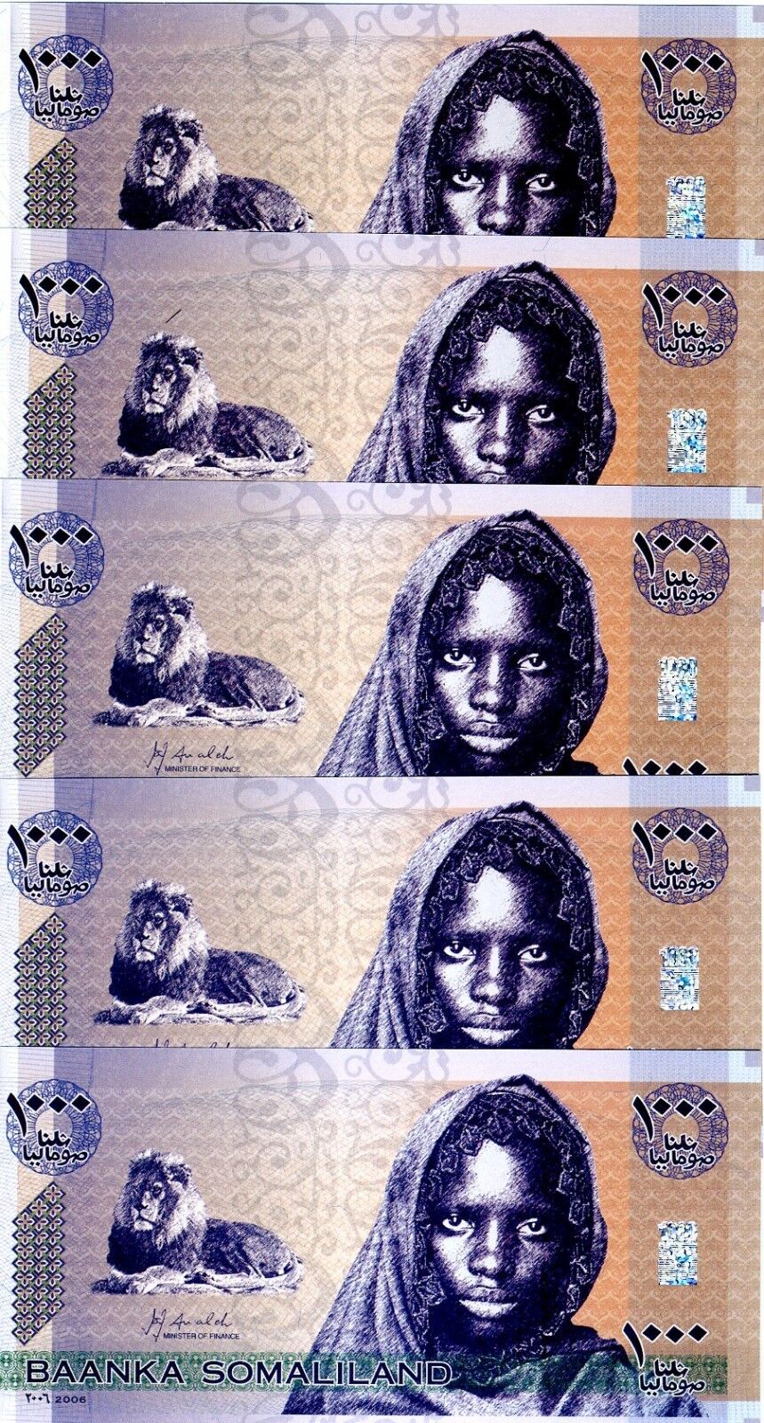 Lot Somaliland, 5 X 1000 Shillings, 2006, P-cs1, Unc Lion, Girl