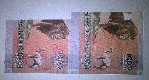 Banknote Specimen Multierror Somalia